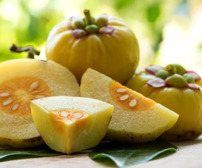 Garcinia Cambogia e i suoi potenziali benefici per la perdita di peso