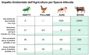 Un grafico che mostra il minor impatto ambientale dell'allevamento di insetti rispetto ad altri allevamenti, fonte Bloomberg